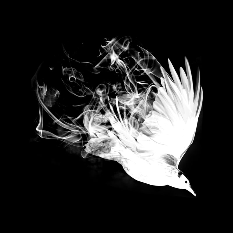 Girl of Dust and Smoke