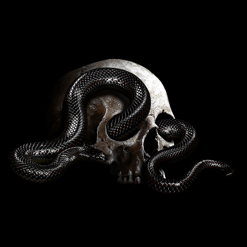 The Mortality Experiment